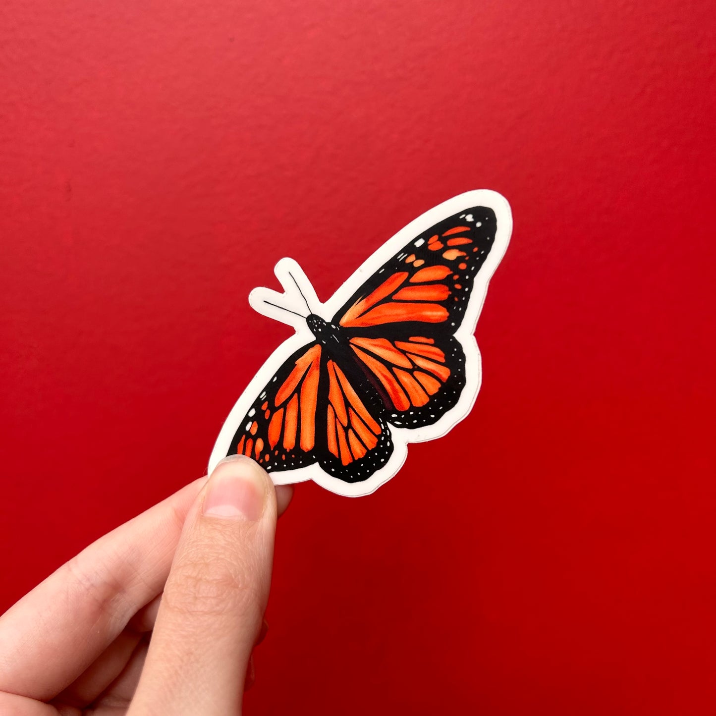 Monarch Butterly Illustrated Sticker