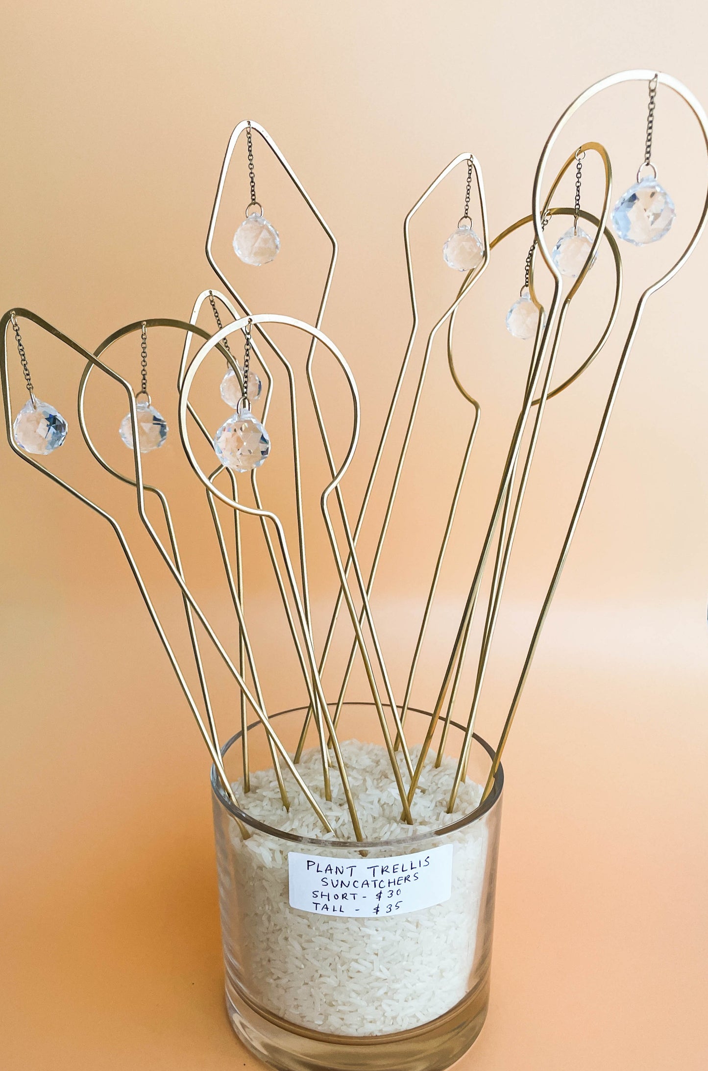 Suncatcher Plant Trellis by Alison Wendy Designs