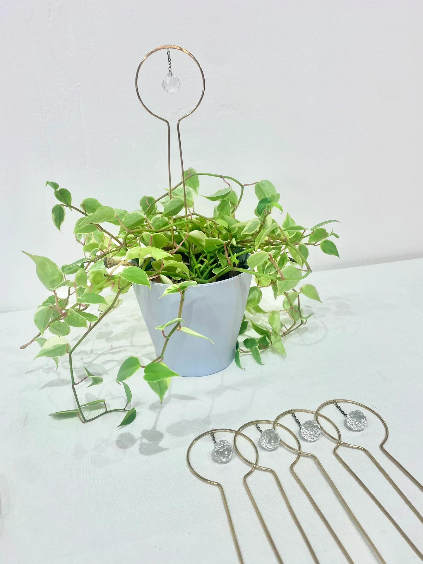 Suncatcher Plant Trellis by Alison Wendy Designs