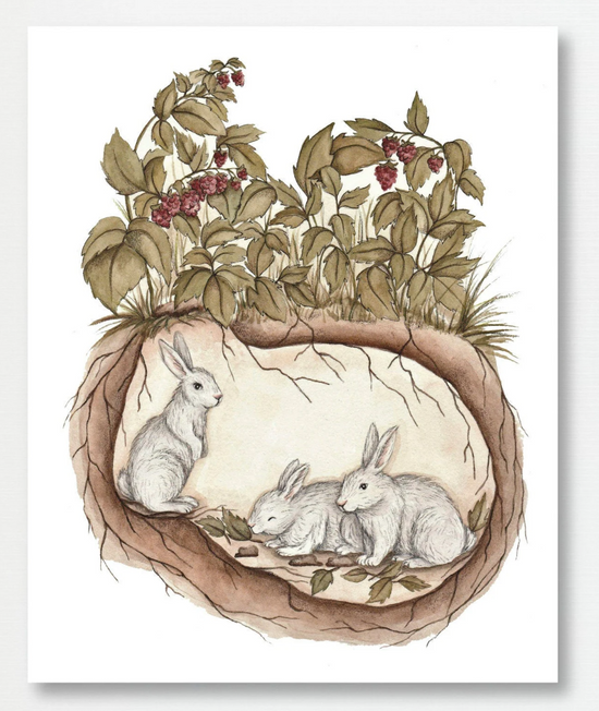 'Rabbit Burrow' Print