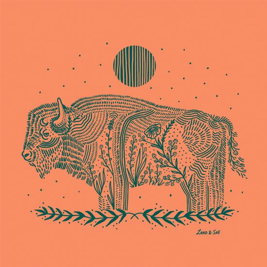 "Terra Cotta Bison" 8x8 Illustration Print