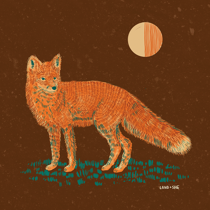 "Moonlight Fox" 8x8 Illustration Print
