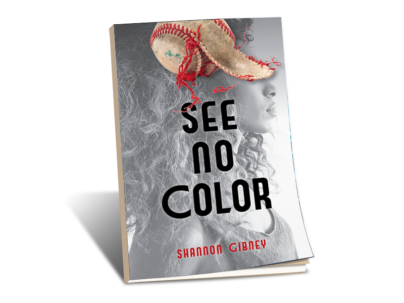 'See No Color' by Shannon Gibney